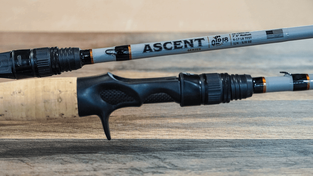 Ascent - 7'0" Medium Casting Mod Fast