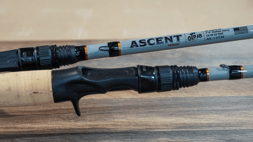 Ascent - 7'9" Medium Heavy Casting Mod Fast